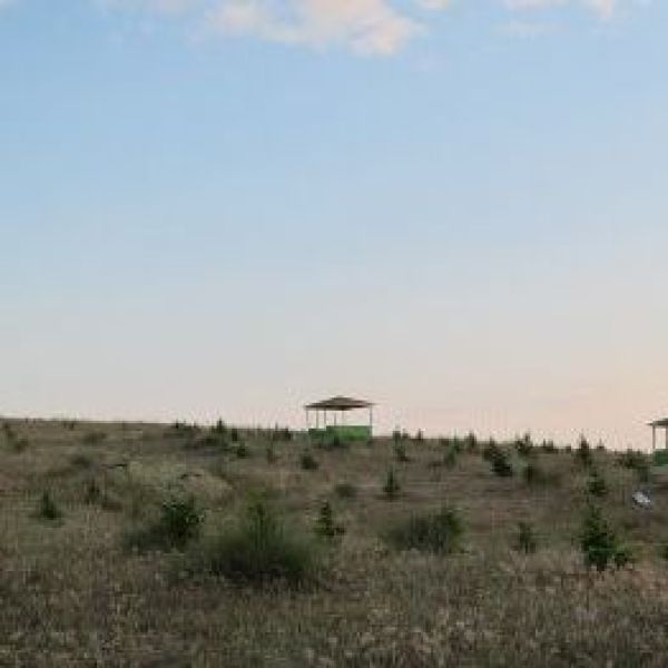 Bayraklı Tepe Mesire Alanı › Gezi Rehberi | Ağaçören | Aksaray