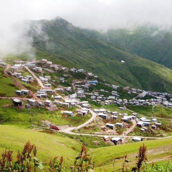 Beyazsu Yaylası › Gezi Rehberi | Borçka | Artvin