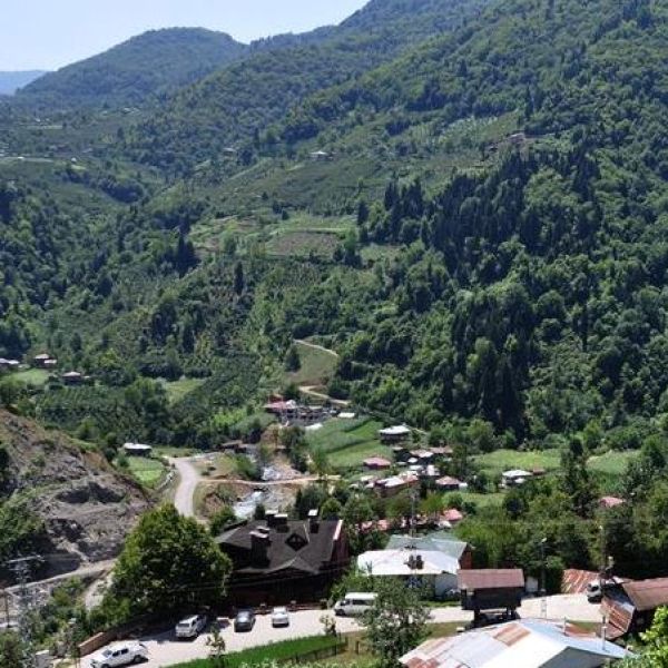 Macahel Bölgesi › Gezi Rehberi | Borçka | Artvin