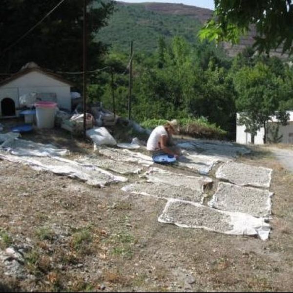 Paşalar Fosil Kazı Alanı › Gezi Rehberi | Mustafakemalpaşa | Bursa