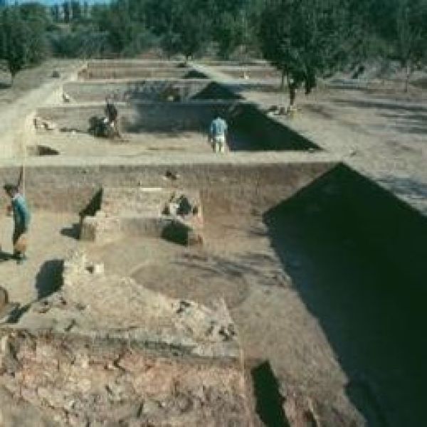 Ilıpınar Höyüğü › Gezi Rehberi | Orhangazi | Bursa