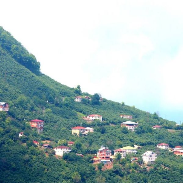 Burunucu Köyü › Gezi Rehberi | Bulancak | Giresun