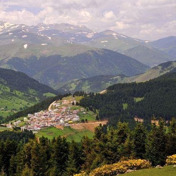 Kümbet Yaylası › Gezi Rehberi | Dereli | Giresun