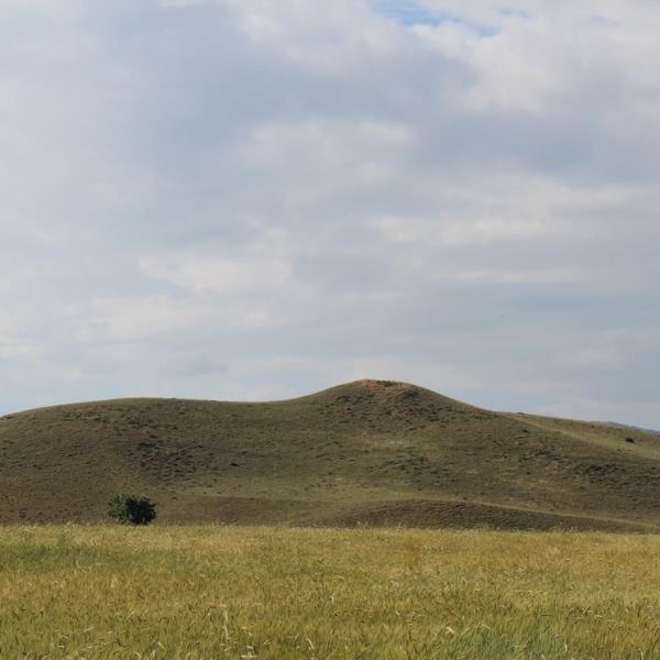 Tilki Tepe Tümülüsü › Gezi Rehberi | Köse | Gümüşhane