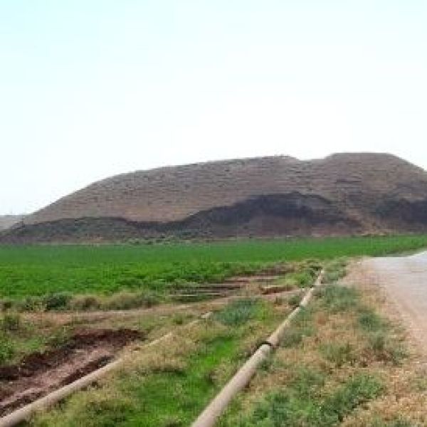 Cüdeyde Höyüğü › Gezi Rehberi | Reyhanlı | Hatay