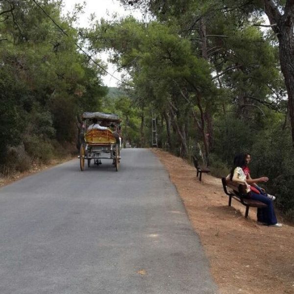 Âşıklar Yolu › Gezi Rehberi | Adalar | İstanbul