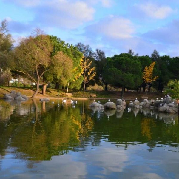 Bahçeşehir Göleti › Gezi Rehberi | Başakşehir | İstanbul