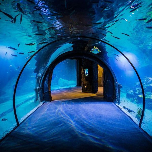 Funtastic Aquariums › Gezi Rehberi | Bayraklı | İzmir