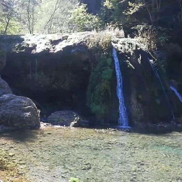 Saray Şelalesi › Gezi Rehberi | Azdavay | Kastamonu