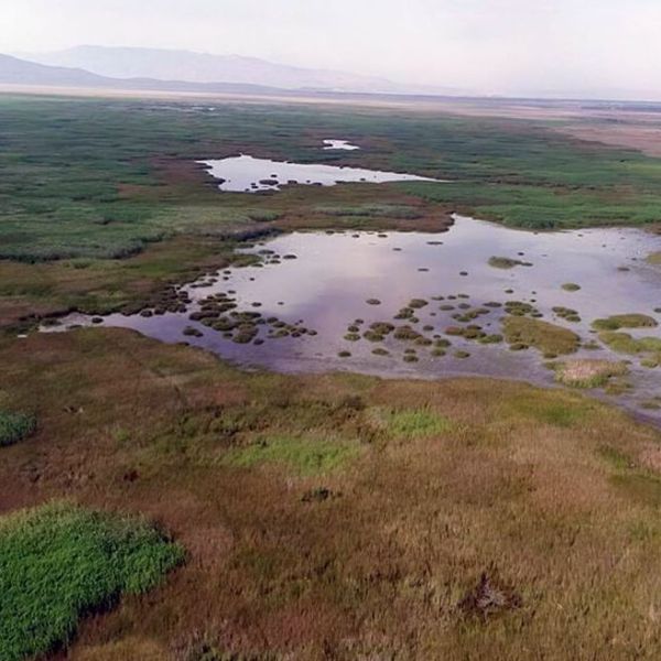 Akşehir Gölü › Gezi Rehberi | Akşehir | Konya