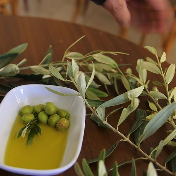 Mardin Zeytini › Yöresel Ürünler | Derik | Mardin