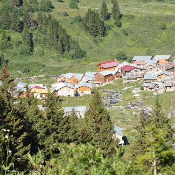 Elevit Yaylası › Gezi Rehberi | Çamlıhemşin | Rize