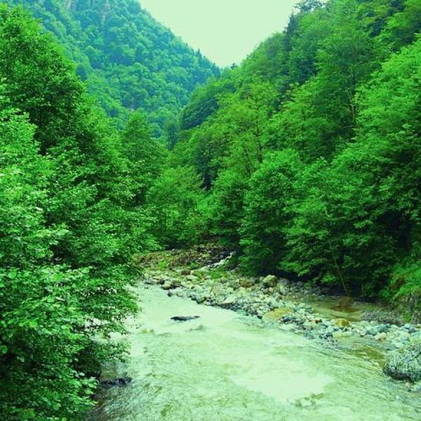 Fırtına Deresi ve Fırtına Vadisi › Gezi Rehberi | Çamlıhemşin | Rize