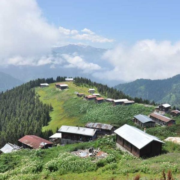 Pokut Yaylası › Gezi Rehberi | Çamlıhemşin | Rize