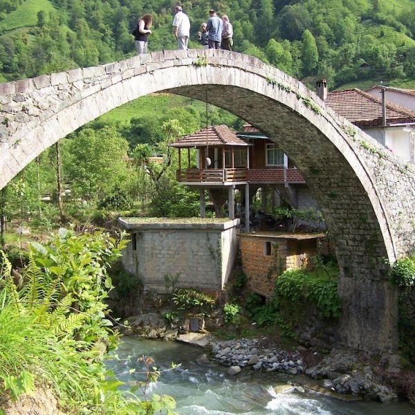 Çağlayan Vadisi › Gezi Rehberi | Fındıklı | Rize