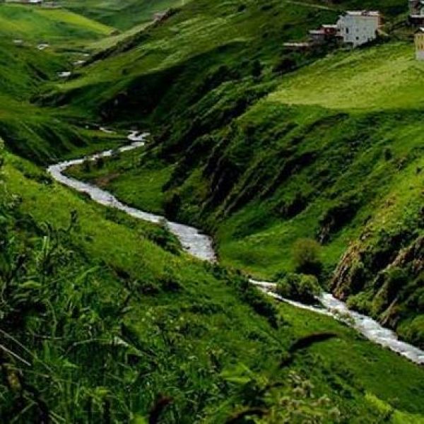 Mahura Yaylası › Gezi Rehberi | İkizdere | Rize