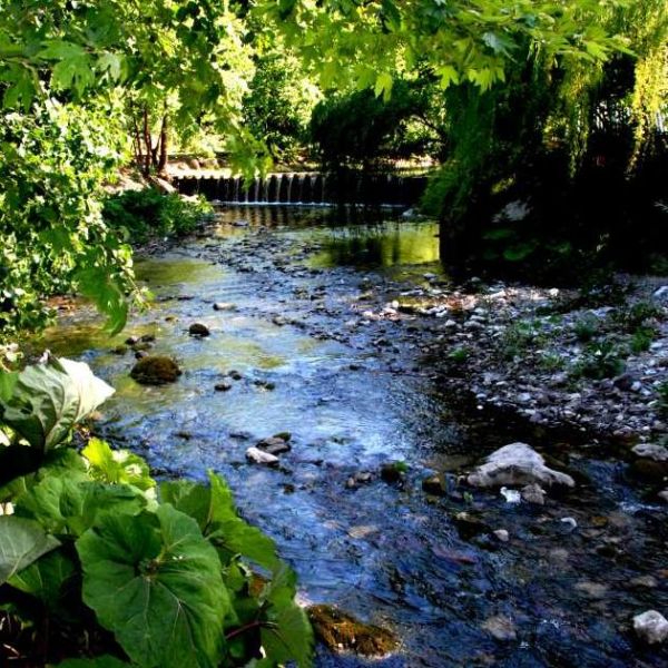 Maden Deresi ve Şelalesi › Gezi Rehberi | Karasu | Sakarya